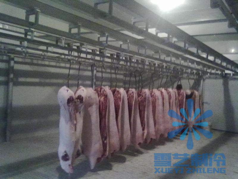 肉制品豬肉冷藏保鮮庫以及注意事項??！