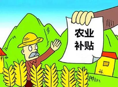 農(nóng)業(yè)補(bǔ)貼