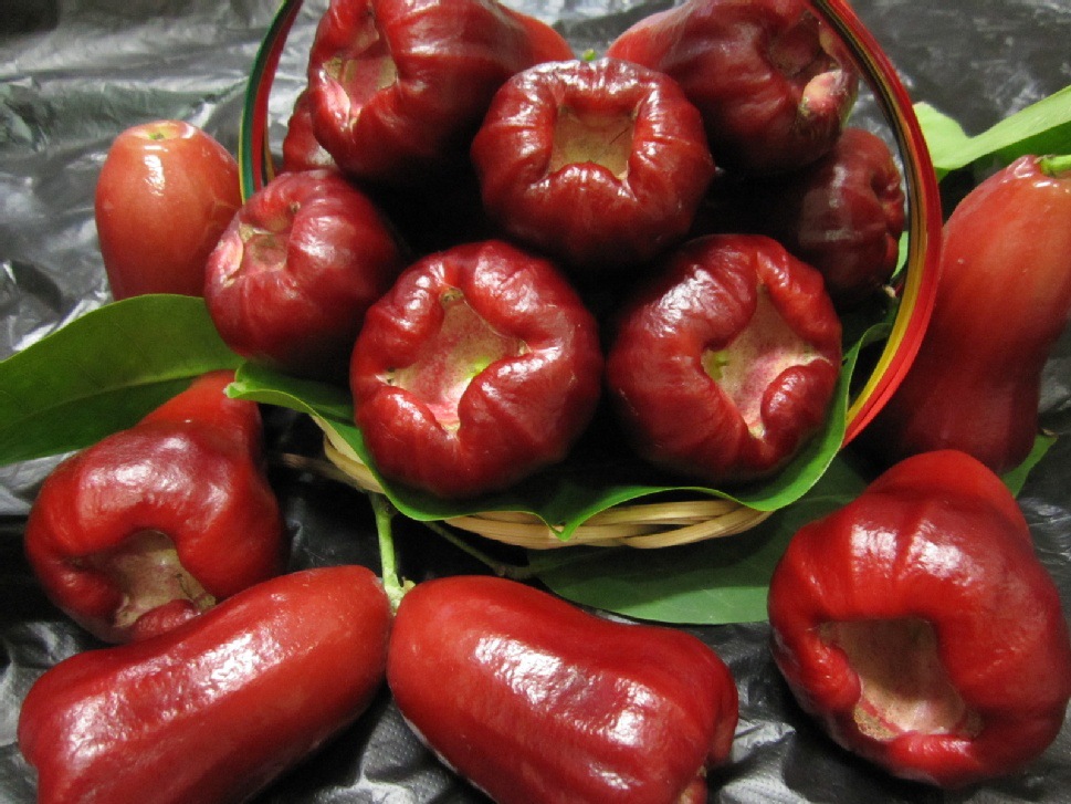霧蓮冷庫(kù)